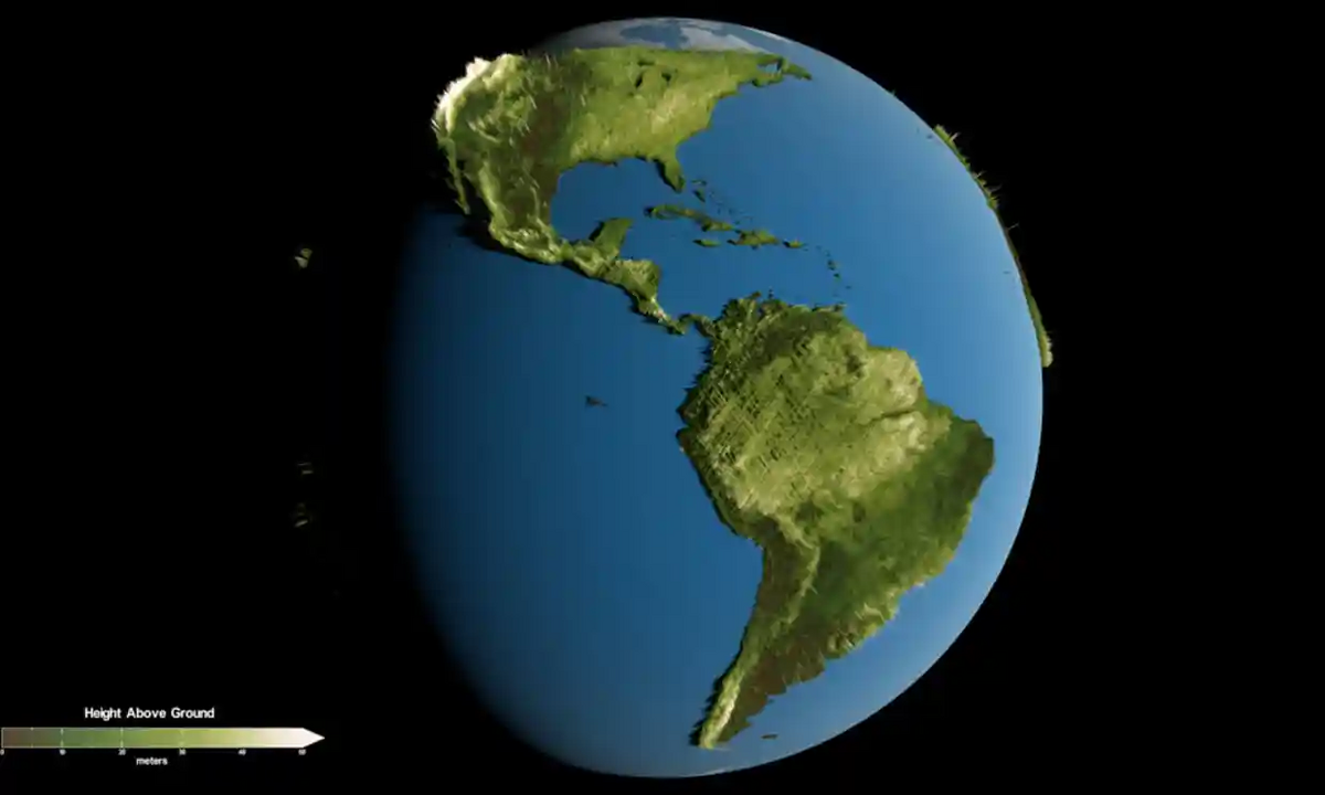 Scientists Ask NASA for GEDI Extension