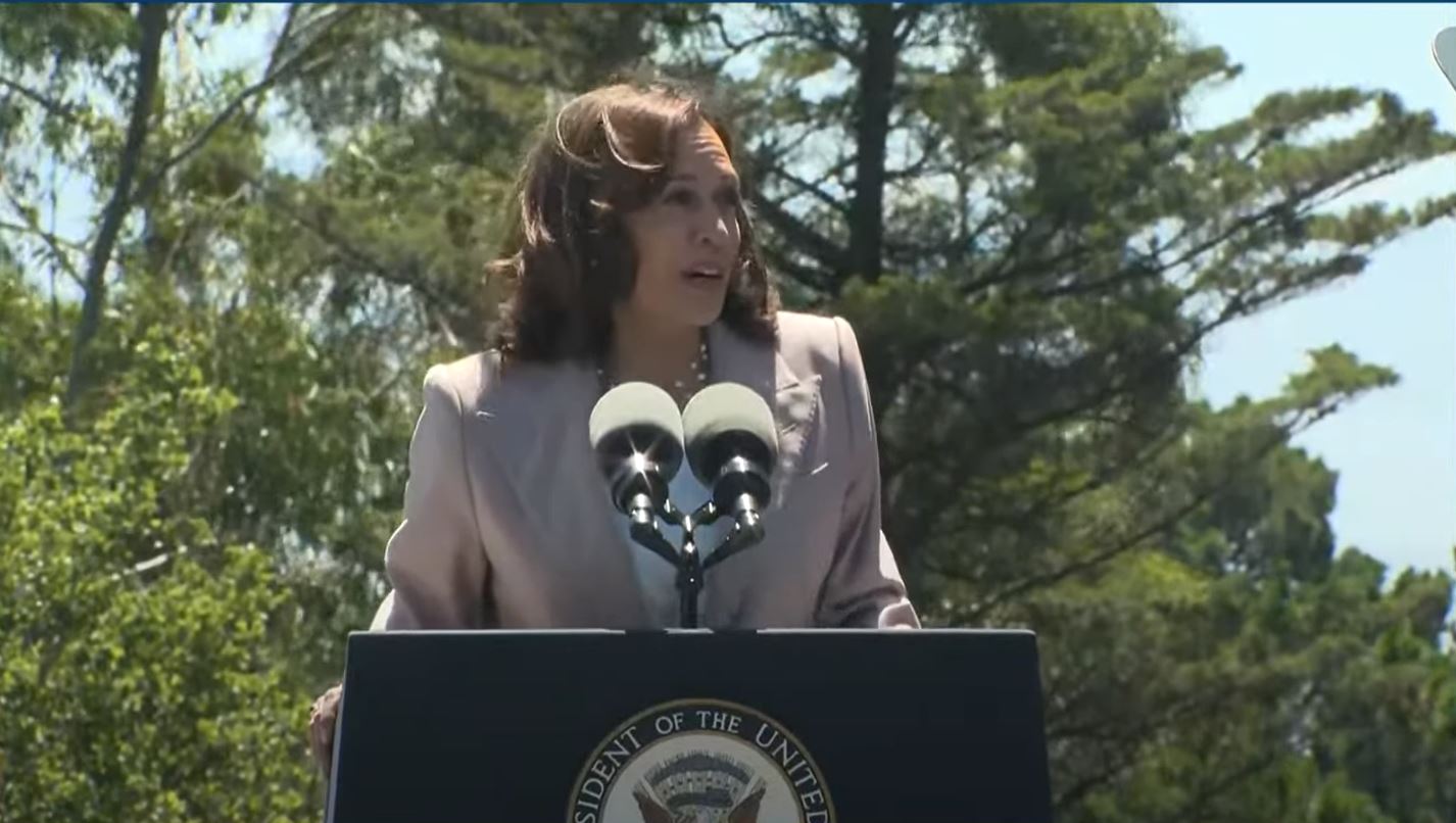 VP Harris Calls for Space Industry Regulation