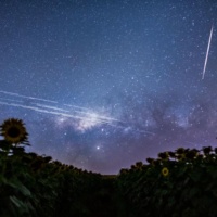 Congress Seeks Answers On Starlink Disruptions in Ukraine