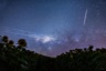Congress Seeks Answers On Starlink Disruptions in Ukraine