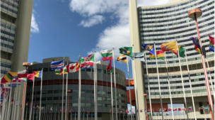 COPUOS Update on Sustainable Use of Space