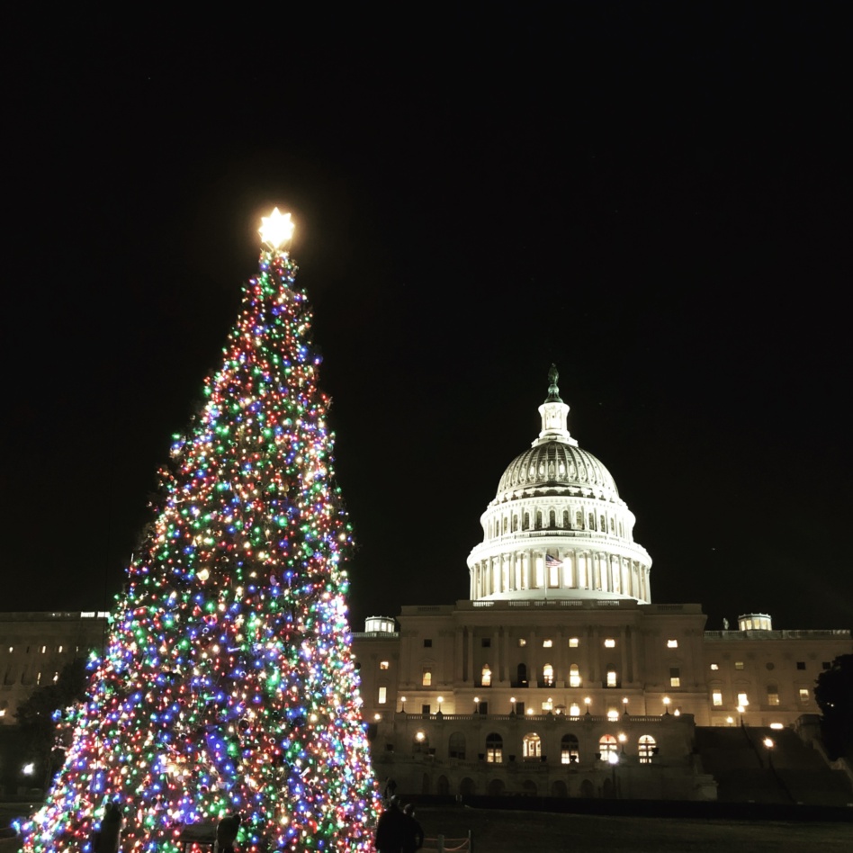 Photo of the US Capitol and Christmas tree