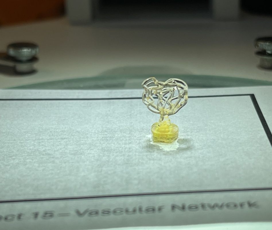 Auxilium 3D bio-printed perfusable vasculature on the ISS, demoing the ability to print blood vessels. Image: Auxilium Biotechnologies