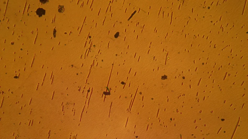 A close up of the semiconductor wafer manufactured by United Semiconductors on the ISS. Image: NASA/United Semiconductors