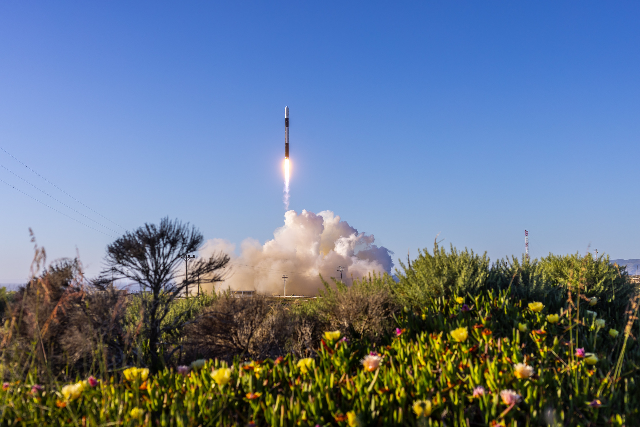 Firefly’s Alpha Rocket Reaches Orbit