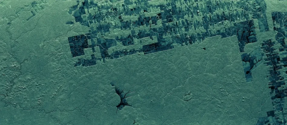SAR image of deforested areas in the Amazon. Image: ICEYE
