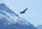 Dawn Aerospace Raises $25M Series B