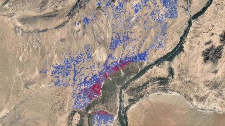 Kuva Space Spots Illegal Poppy Farms from Orbit
