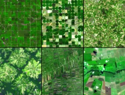 NASA, Agriculture Department Partner On Space Data Sharing